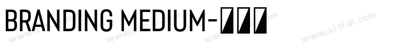 Branding Medium字体转换 Branding Medium字体转换